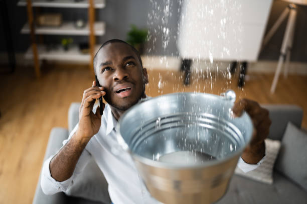 Best Flood restoration services  in South Bend, WA