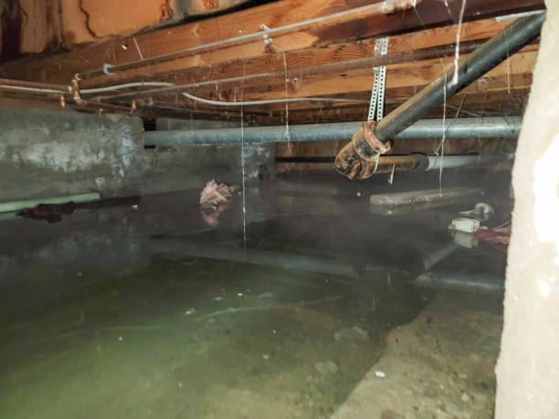 Best 24-hour water damage restoration  in South Bend, WA