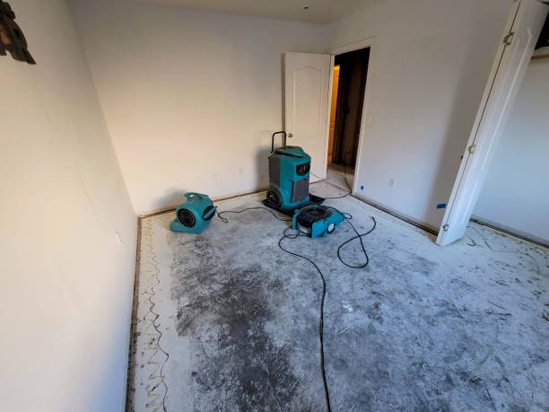 Best Mold removal after water damage  in South Bend, WA