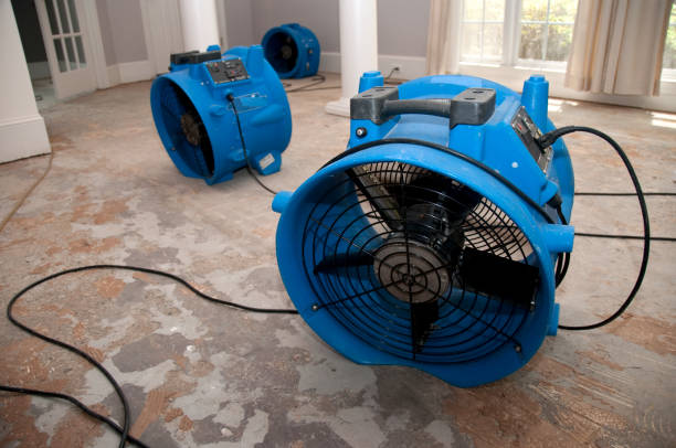 Best Flooded house restoration  in South Bend, WA