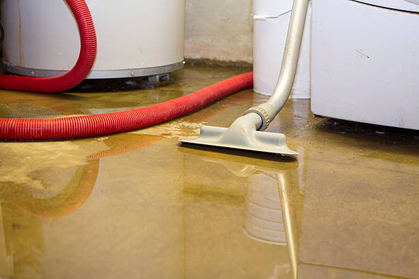 Best Fire Damage Restoration  in South Bend, WA